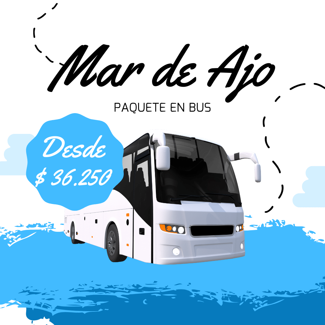 Mar de Ajó, Paquete en Bus, Turismo Costero, Playa, Naturaleza, Entretenimiento, Argentina